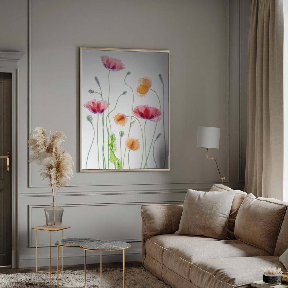 Poppies Wall Artwork 0