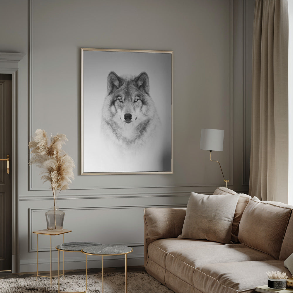Portrait of a Timber Wolf Wall Artwork 0