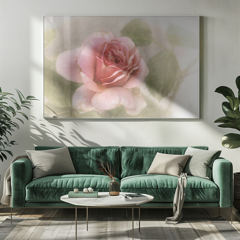 smooth rose Wall Artwork 0