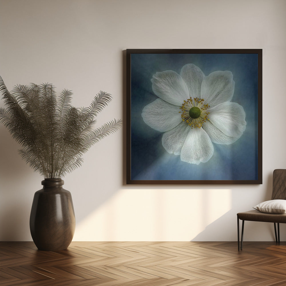 Princes Anne-Mone Wall Artwork 0