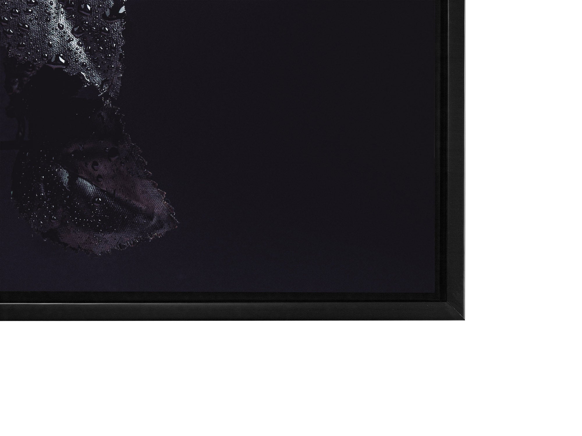 Wall Art-Gold Rose -Canvas Print