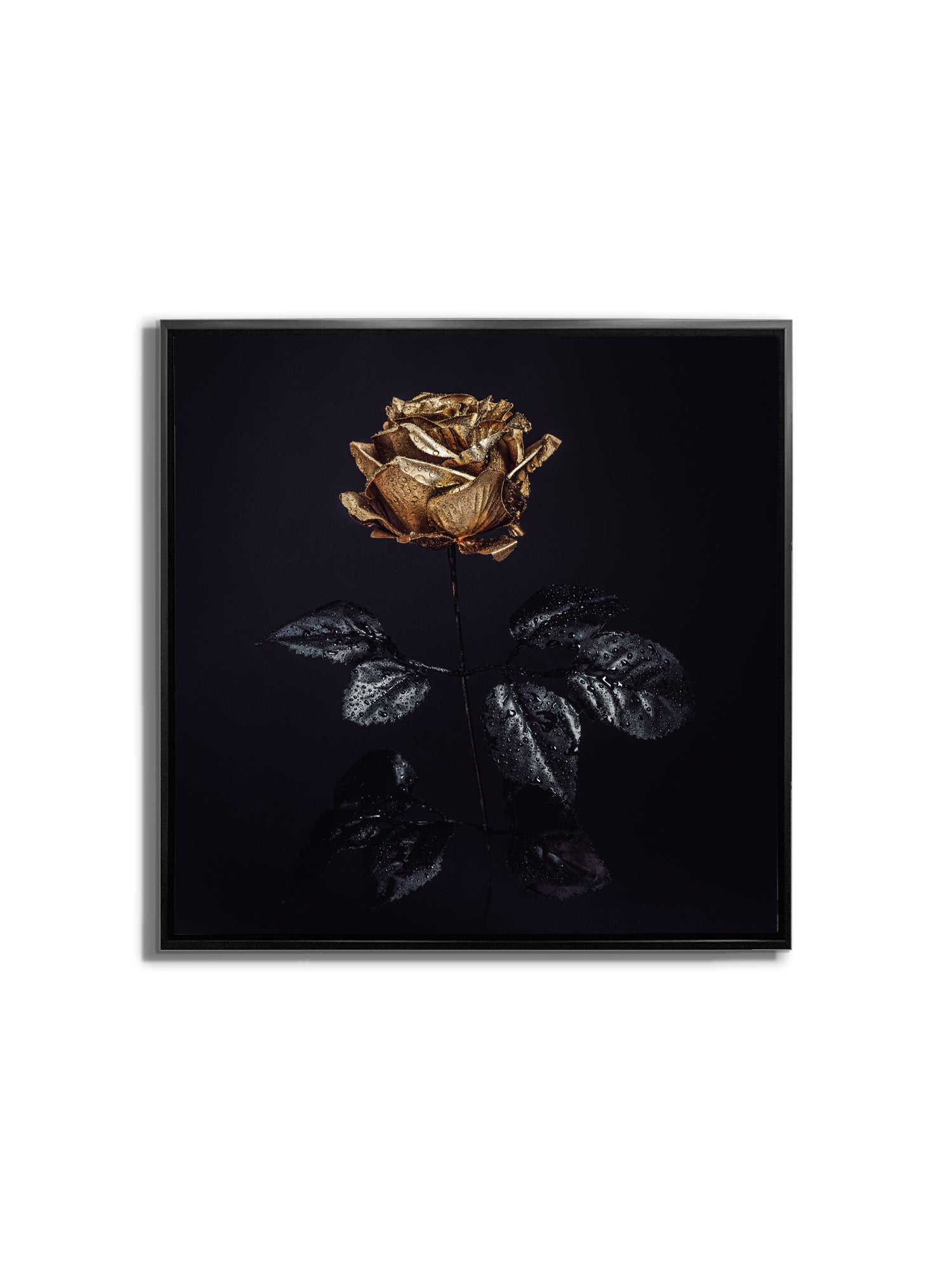 Wall Art-Gold Rose -Canvas Print