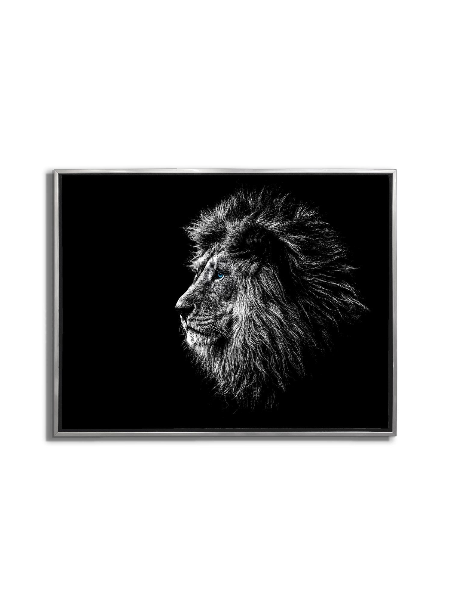 Wildlife Canvas Art-Lions Head Blue Eye in Black and White -Silver varnish