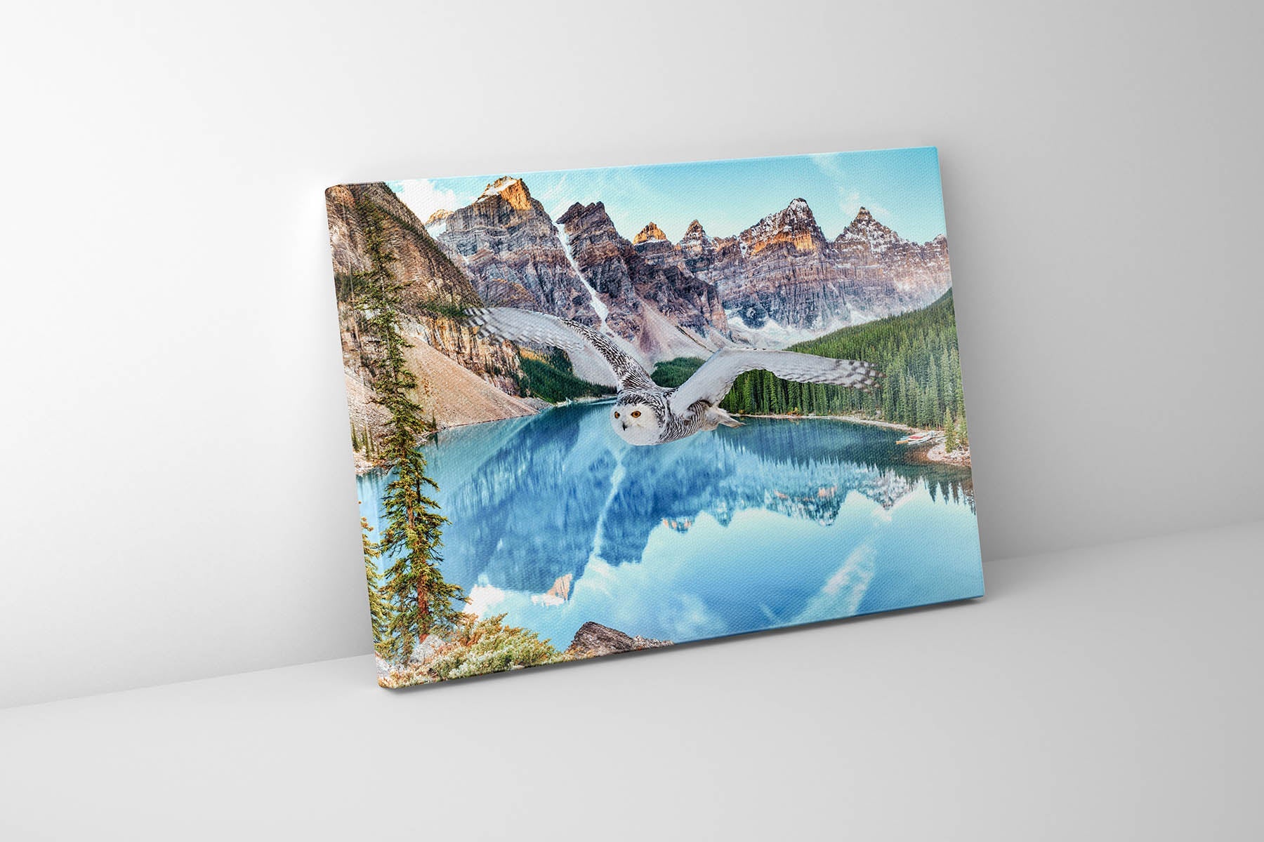 Canvas Wildlife Art-Snowy Owl at Banff-Printed Artwork