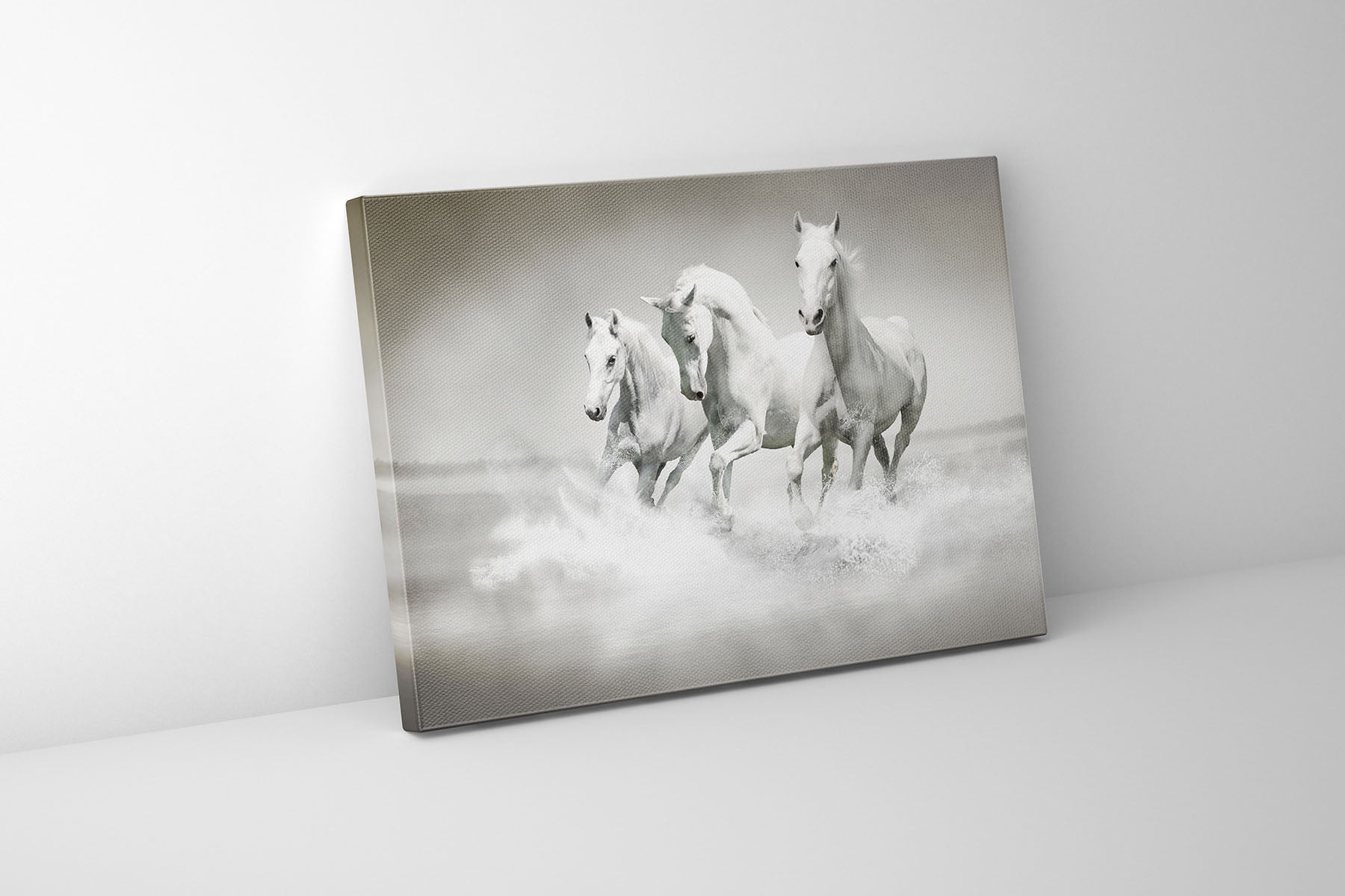 Wall Art Black and White Stallions - Animal Print Canvas