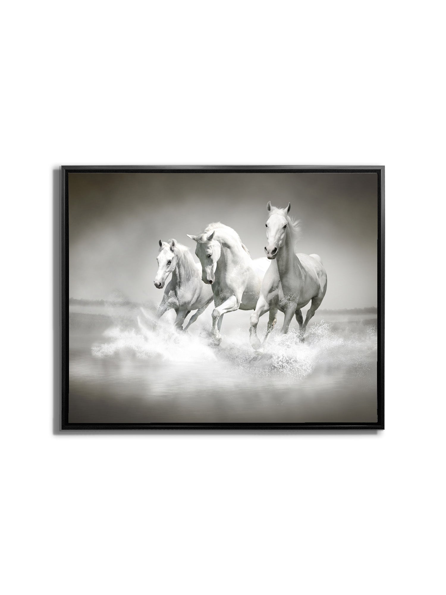 Wall Art Black and White Stallions - Animal Print Canvas