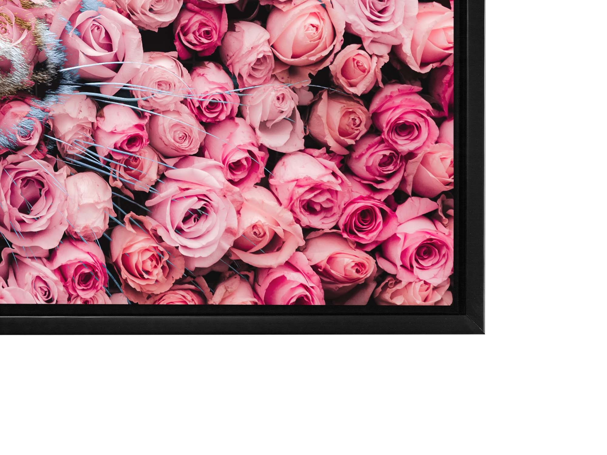 Tiger in the Rose-Wildlife Canvas Prints- Animal Art- Gold varnish