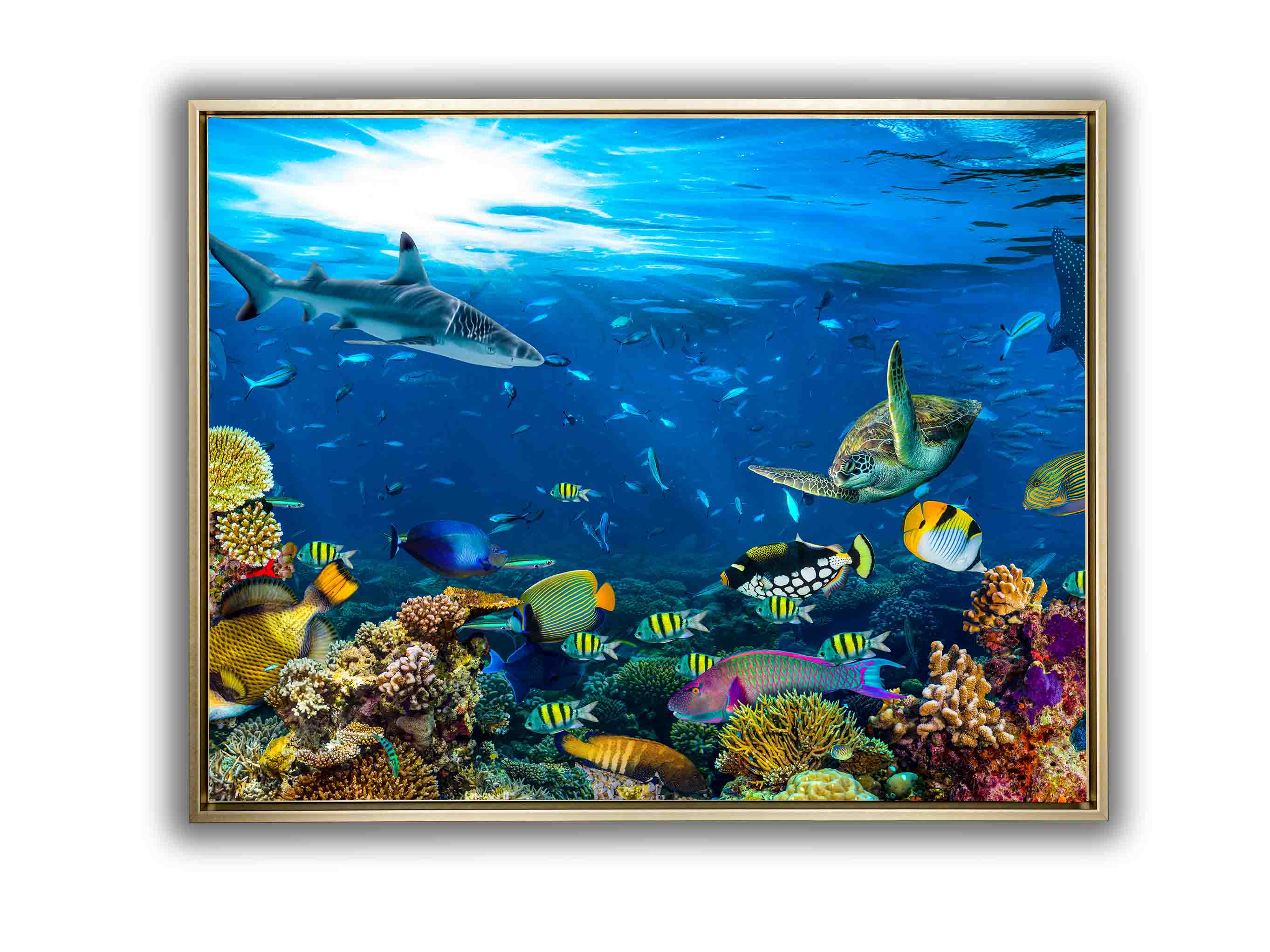 Canvas Print-Below the Surface-Wall Art