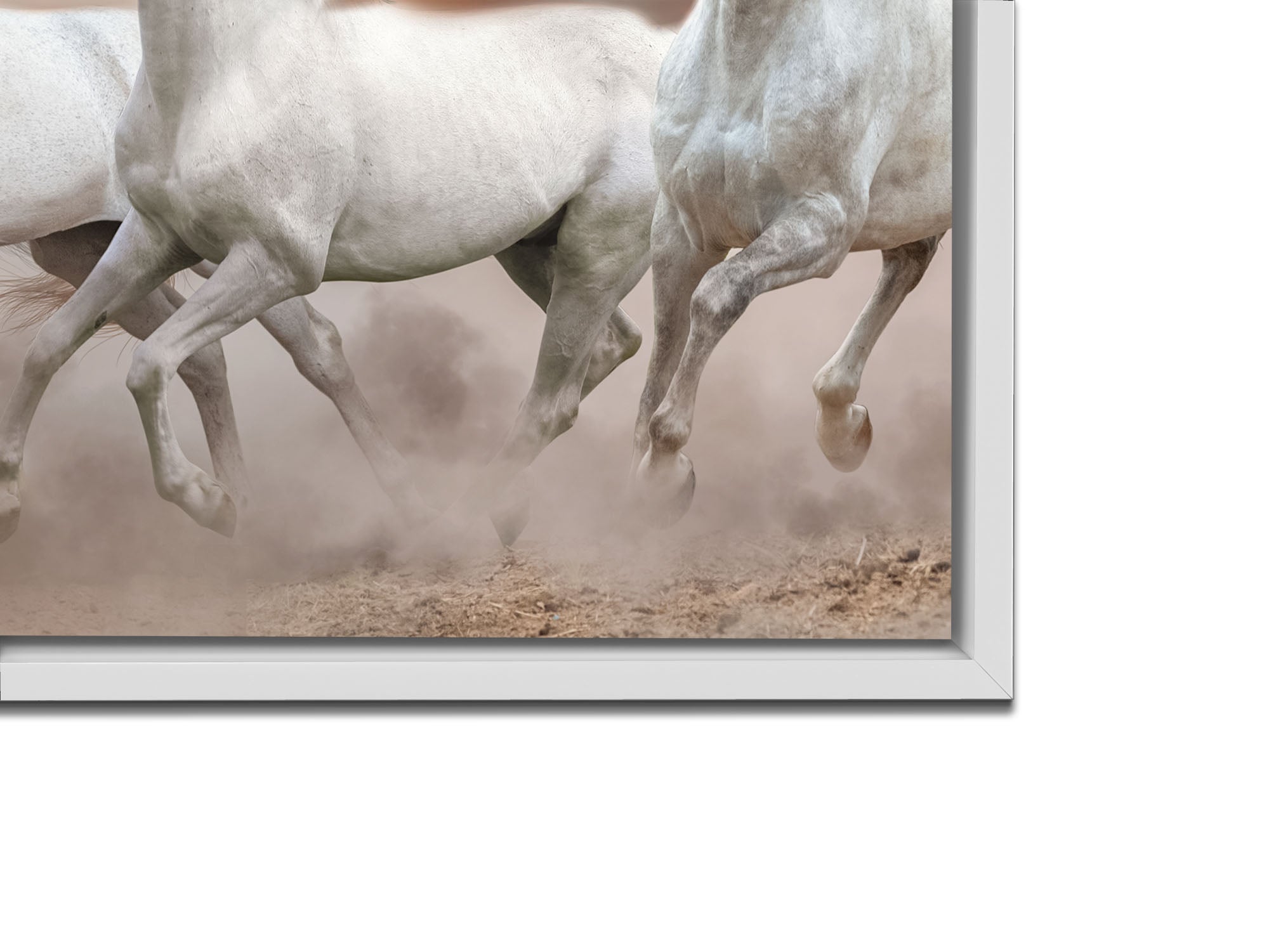 Wildlife Canvas-Arabian Horses White Sky-Wall Art