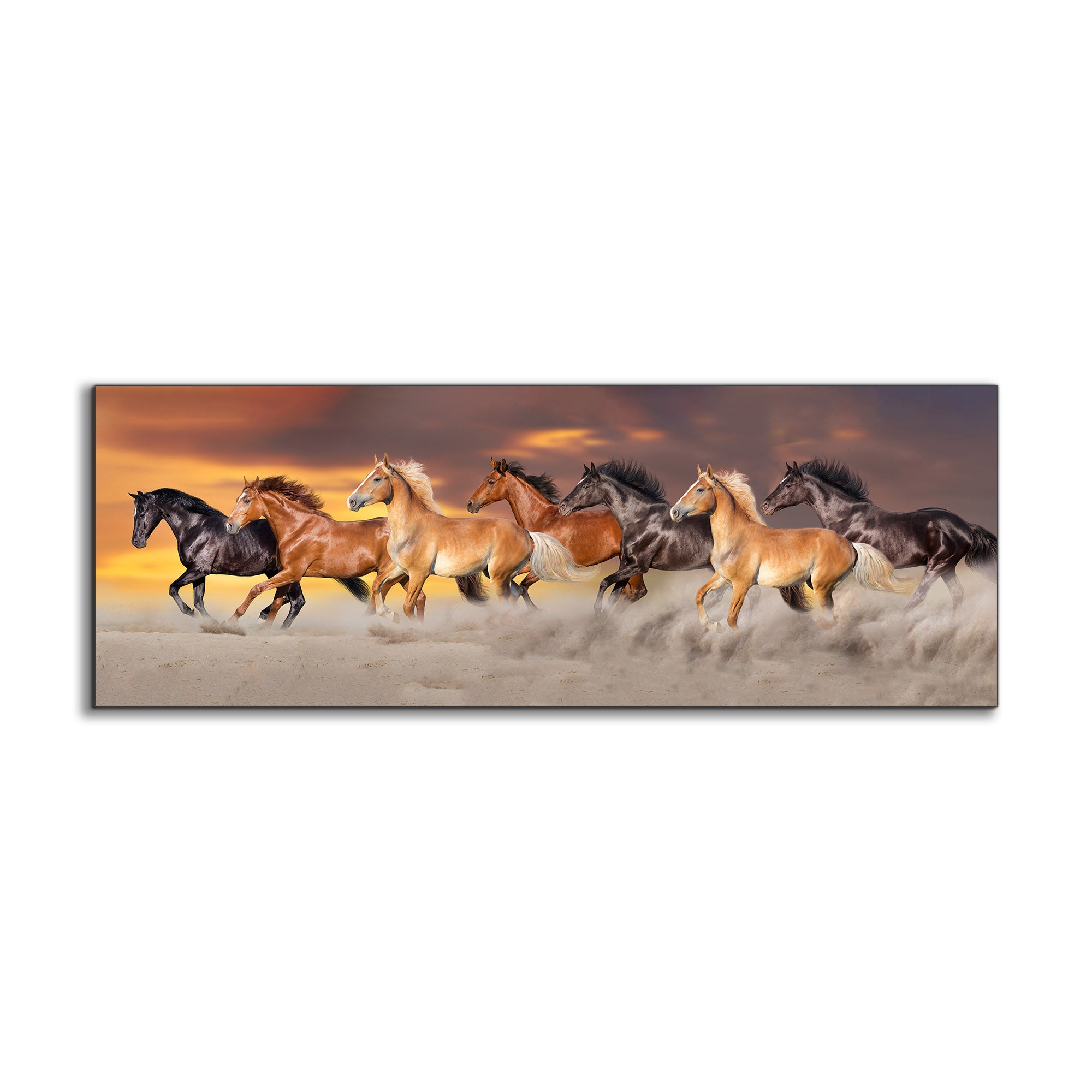 wall art-Team of 7 Horses- Wildlife Canvas Art