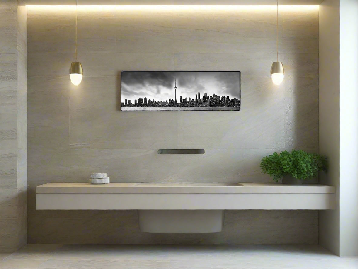 Toronto and CN tower in Black and White- Cities Skyline