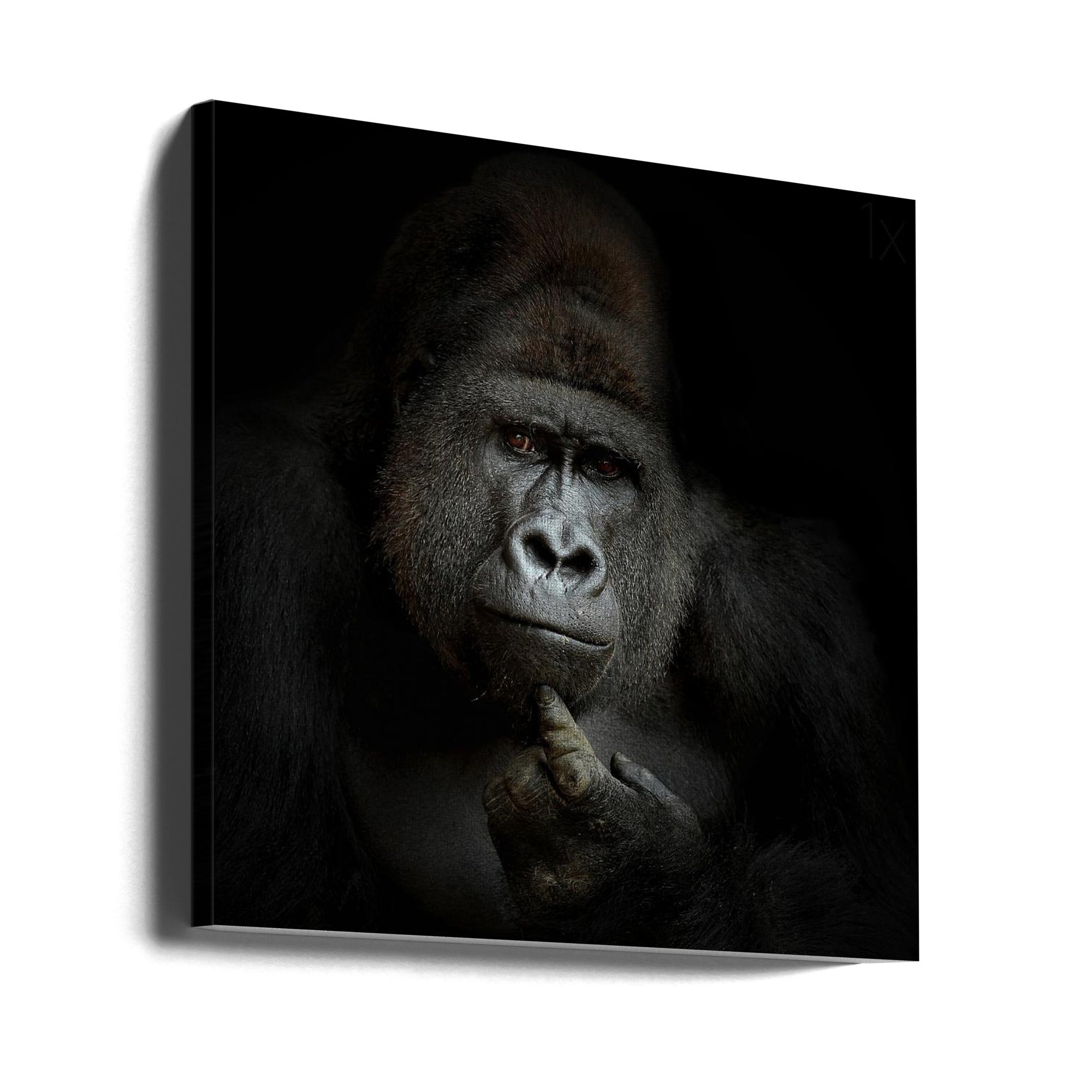 ego cogito, ergo sum Wall Artwork 0