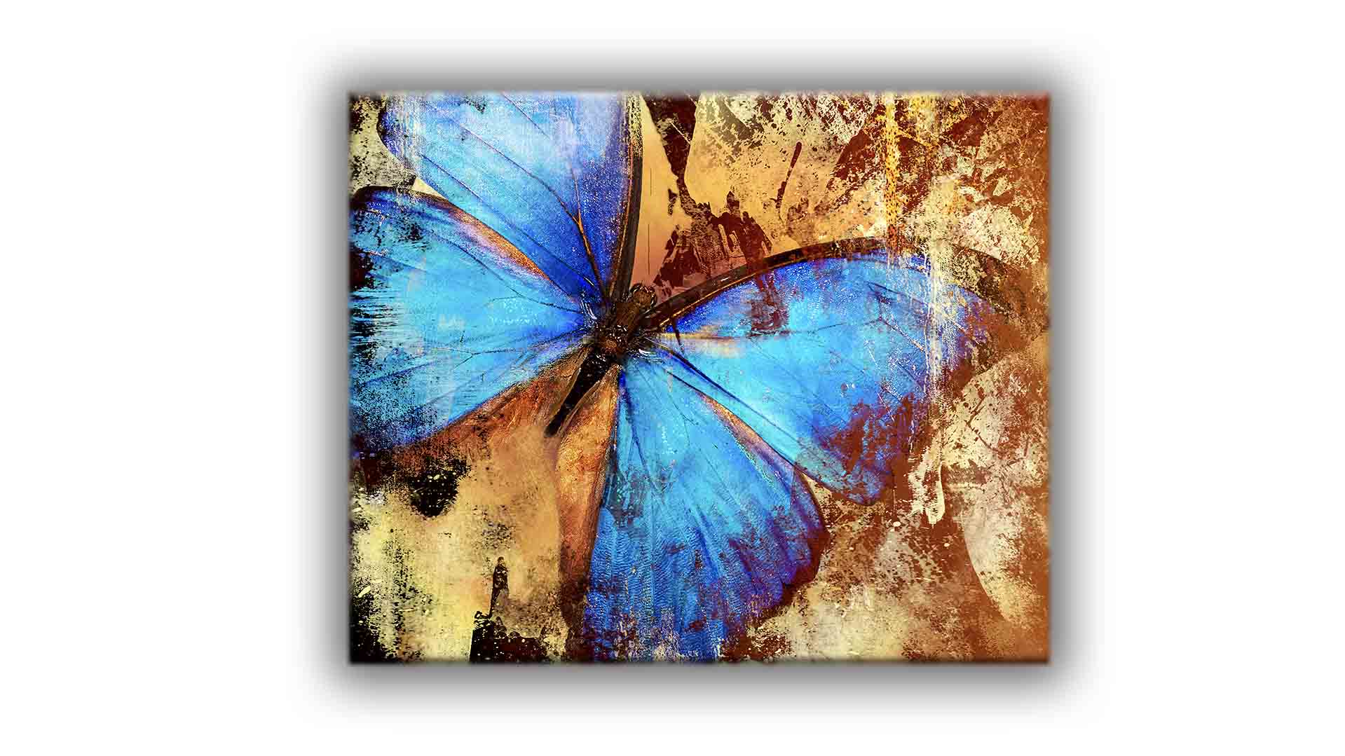 Canvas print-Butterfly-Wall art