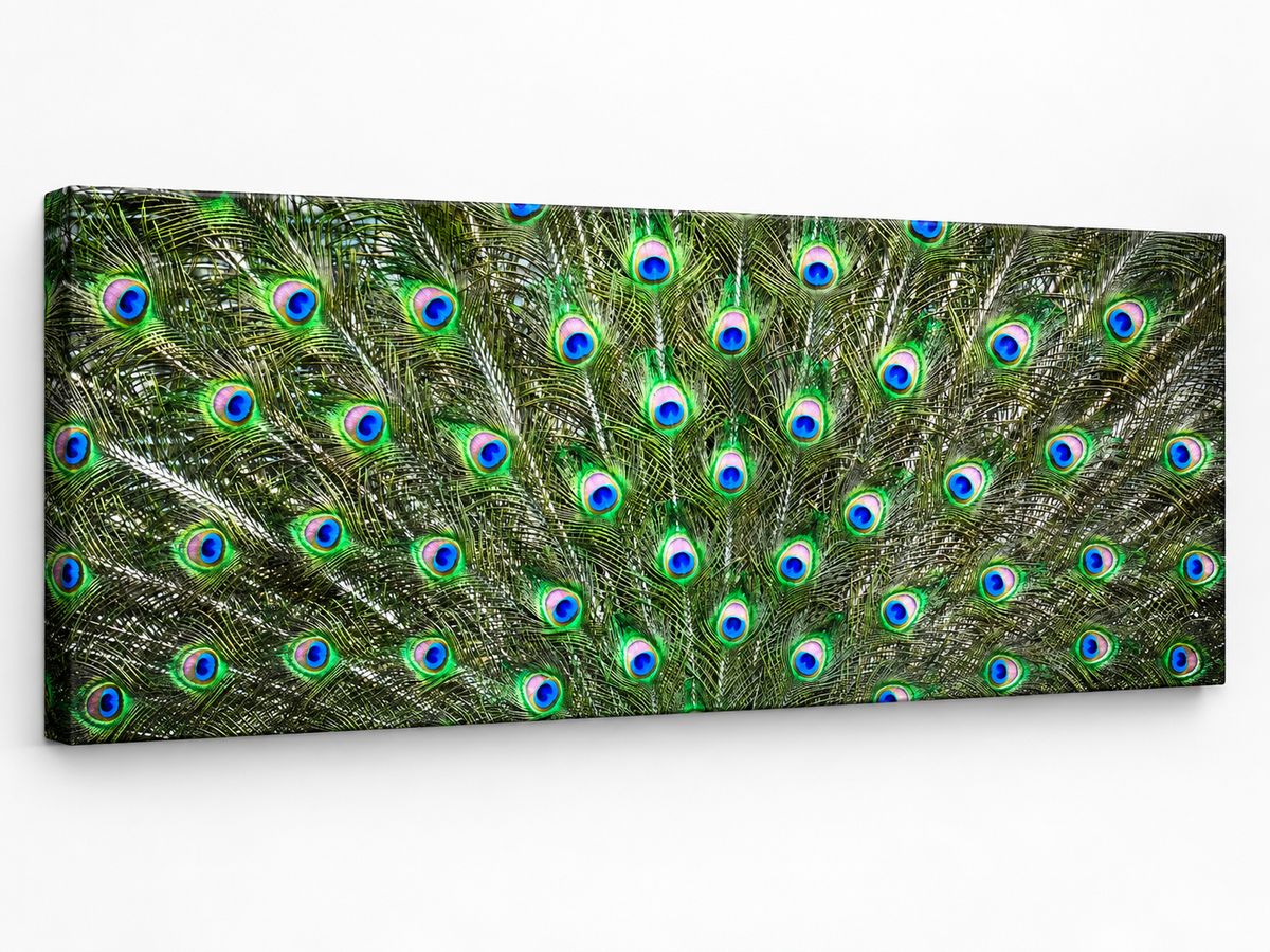 Peacock Feathers – decorative wall art, additional artwork view 6