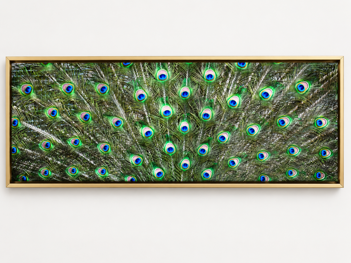 Peacock Feathers – decorative wall art, additional artwork view 8