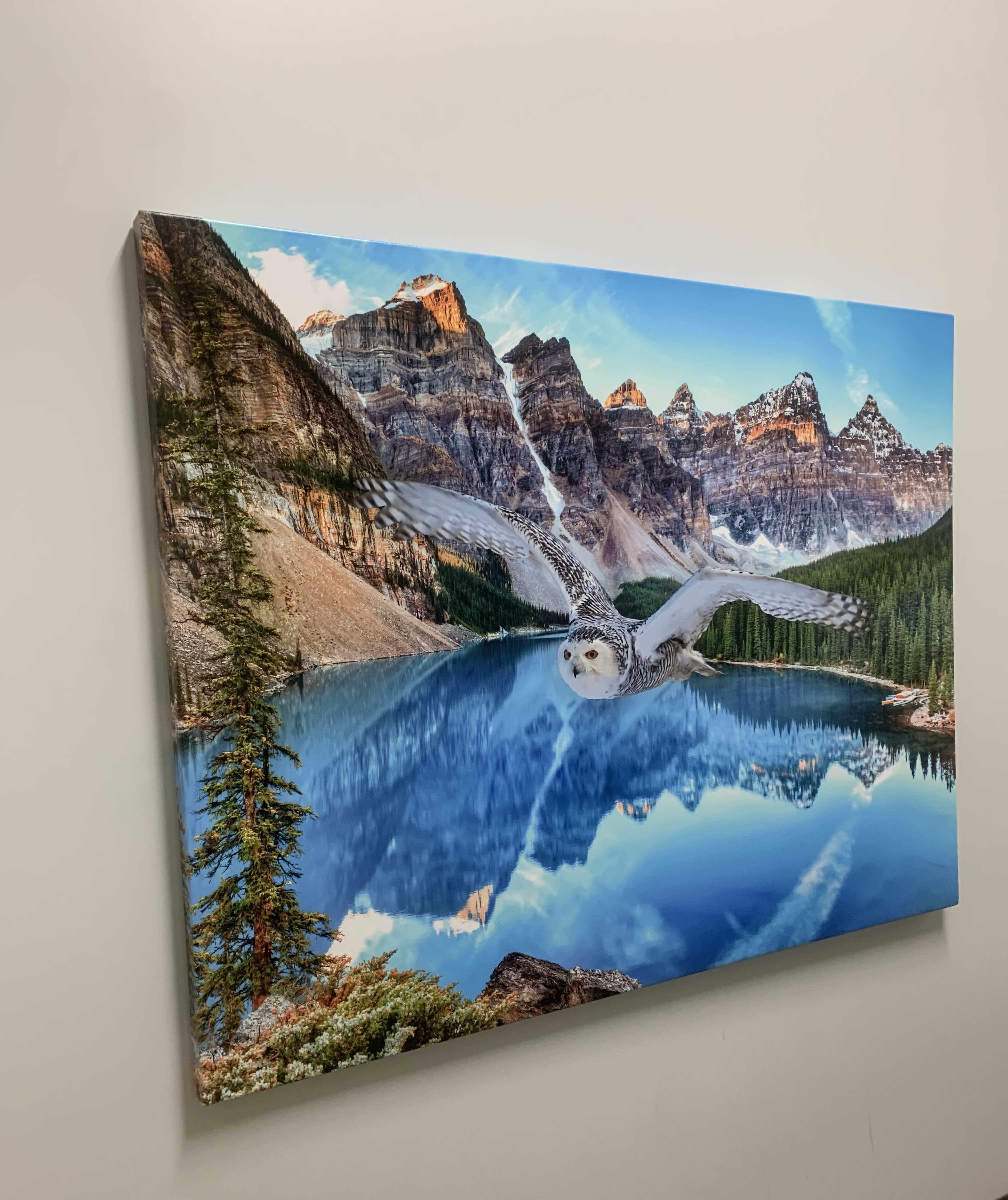 Canvas Wildlife Art-Snowy Owl at Banff-Printed Artwork