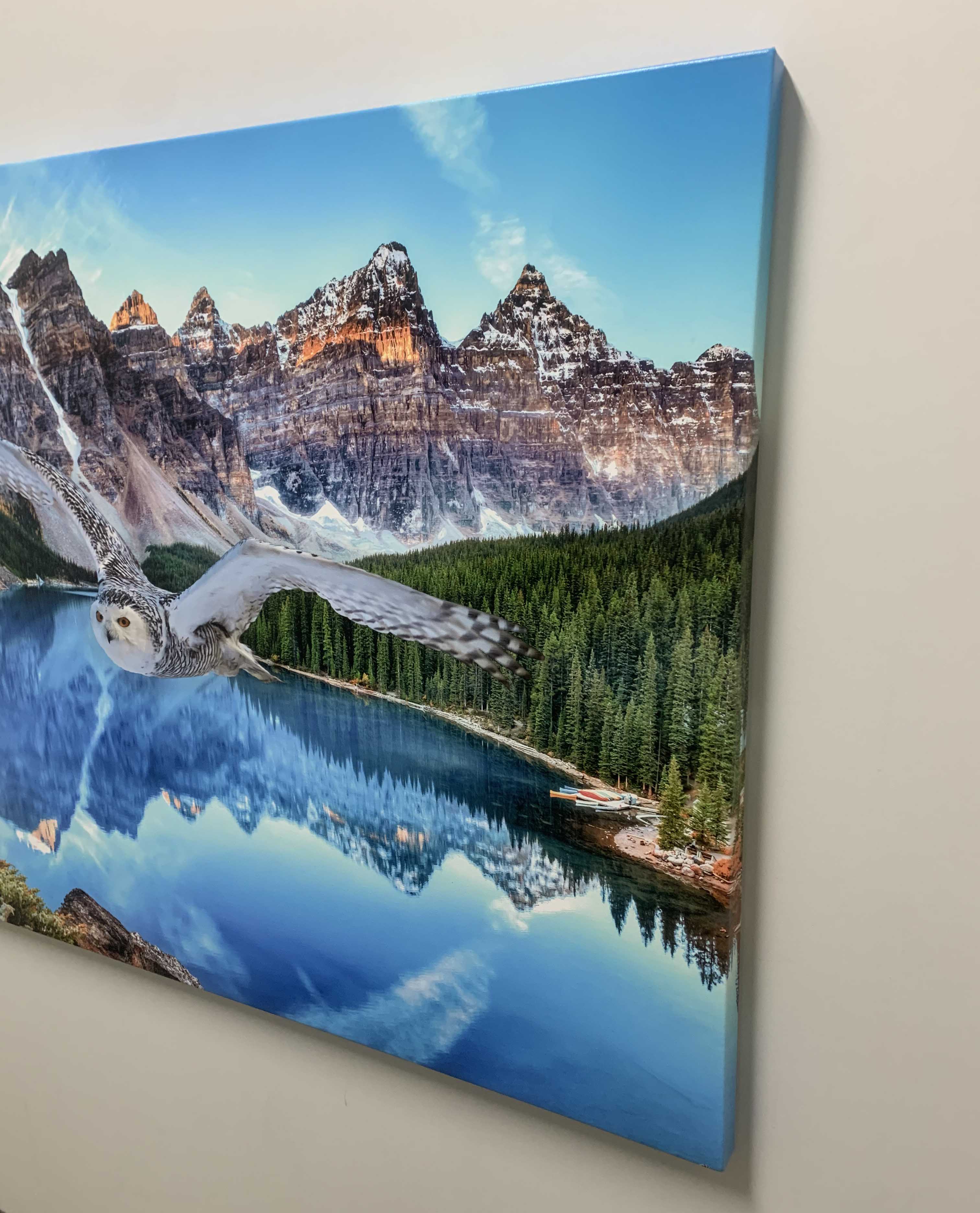 Canvas Wildlife Art-Snowy Owl at Banff-Printed Artwork