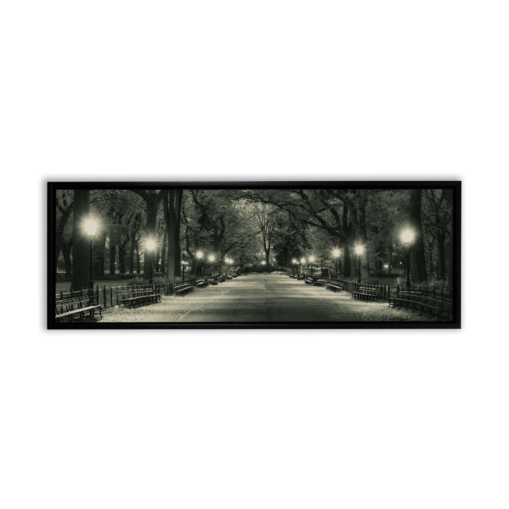 sample wall art Manhattan-Central Park in black Frame