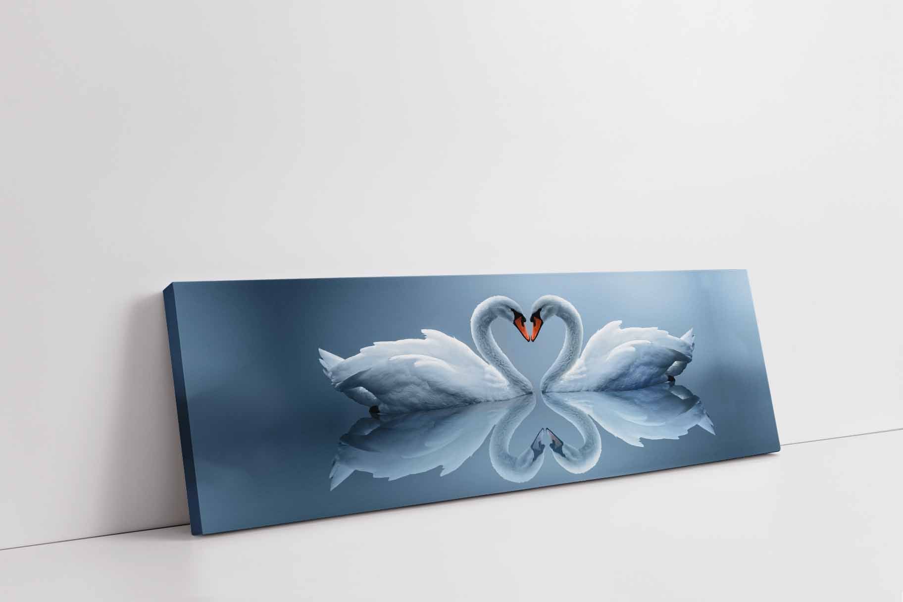 Wall Art-Kissing Swans without frame
