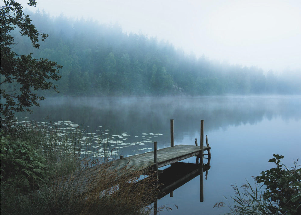 Moody morning Wall Artwork In Black Floating Frame