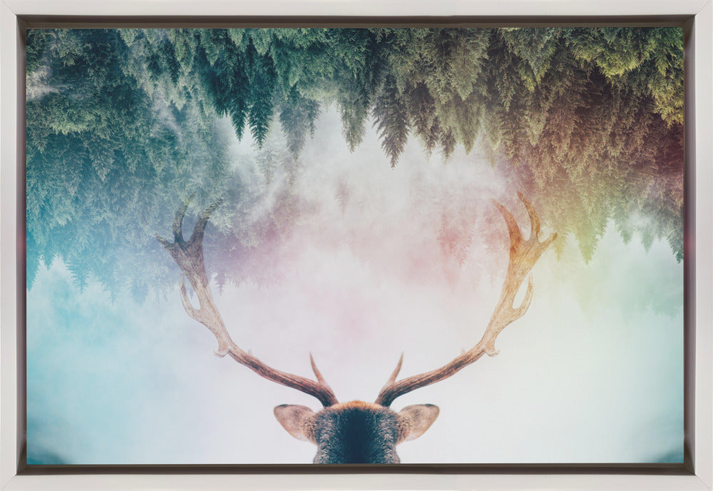 Antler Wall Artwork In Black Floating Frame