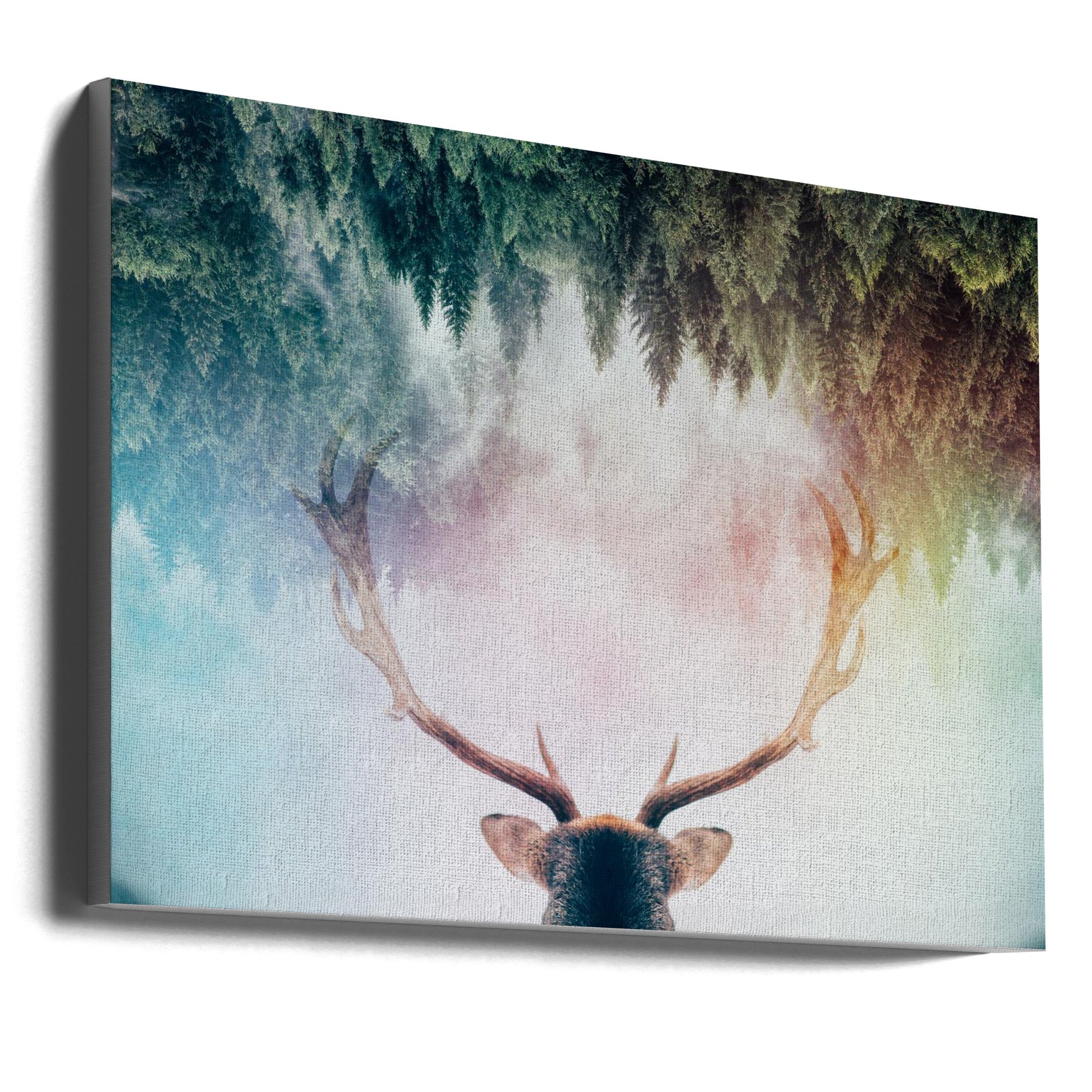 Antler Wall Artwork Gallery Wrapped (Ready to Hang)