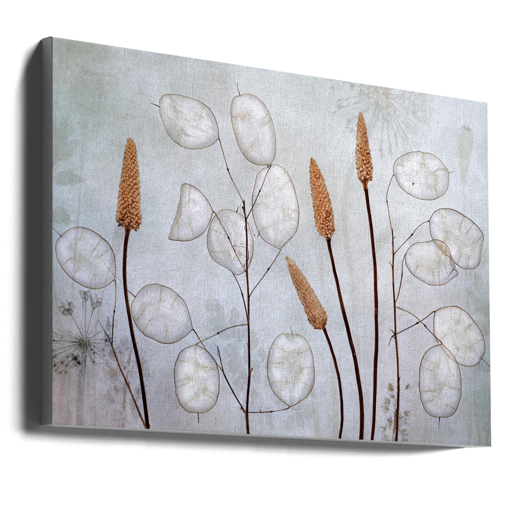 Lunaria Wall Artwork Gallery Wrapped (Ready to Hang)