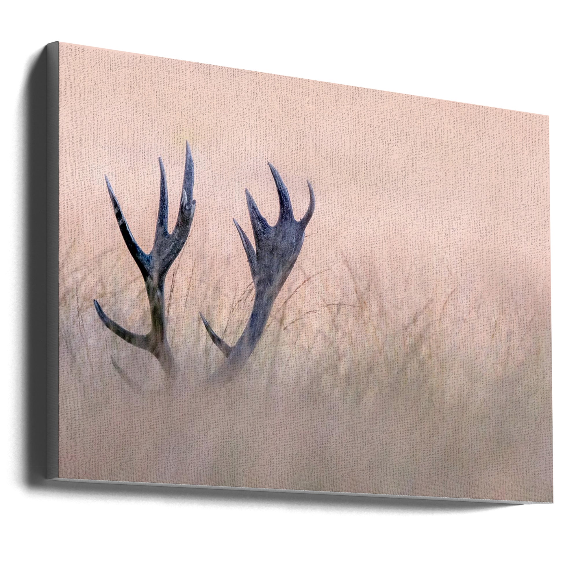 Wall art Hide & Seek ( Horn of Stag)
