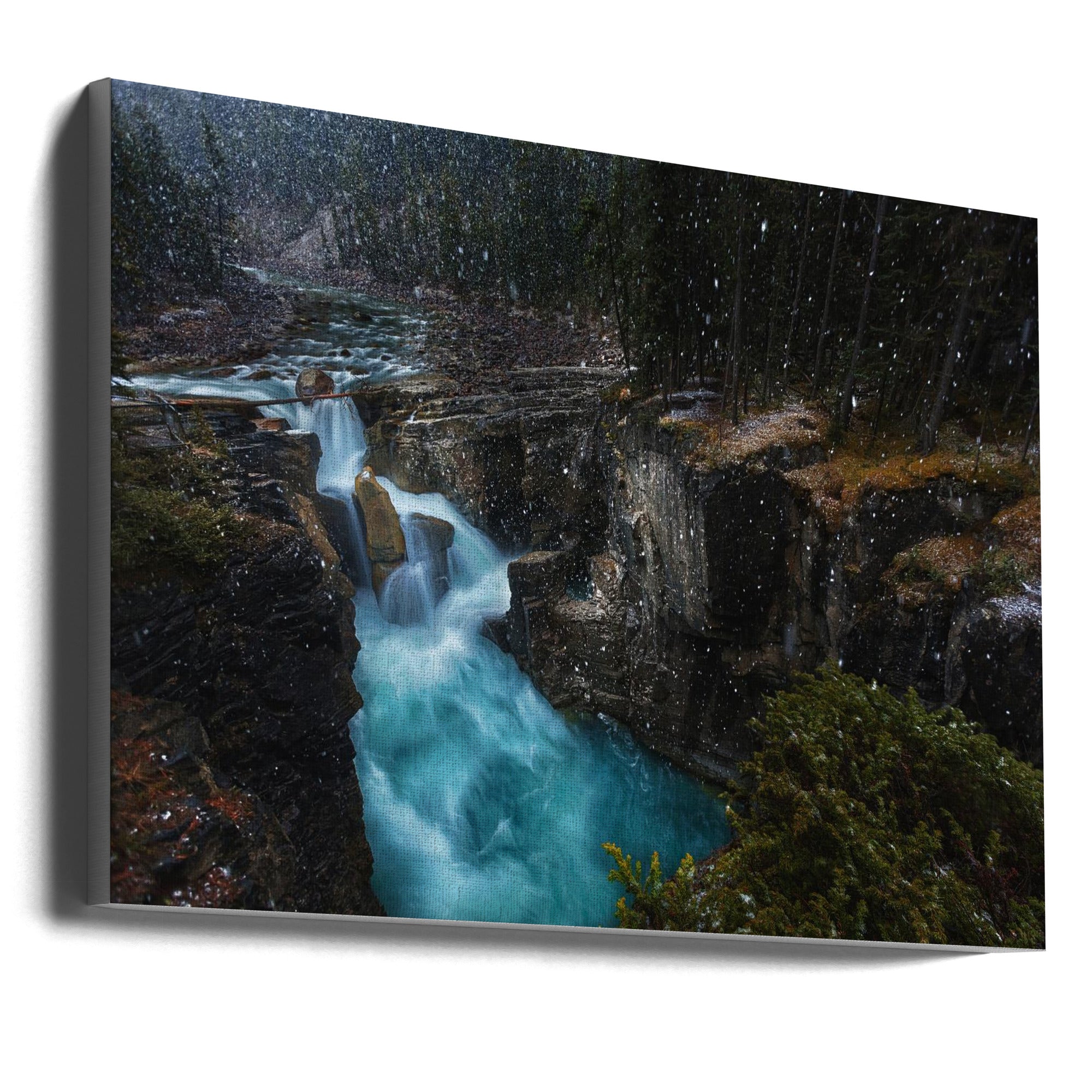 Wall art Surprise