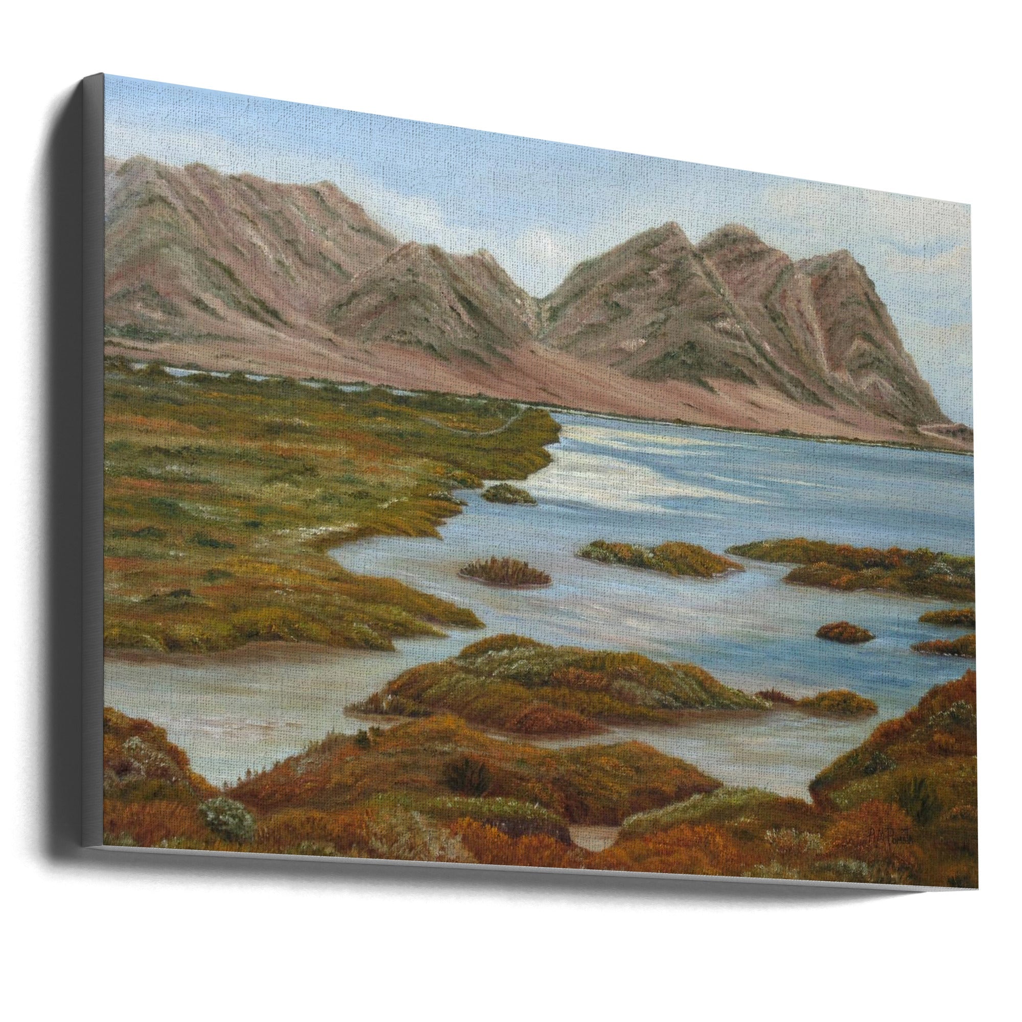 Salt Marsh Wall Artwork In Black Floating Frame