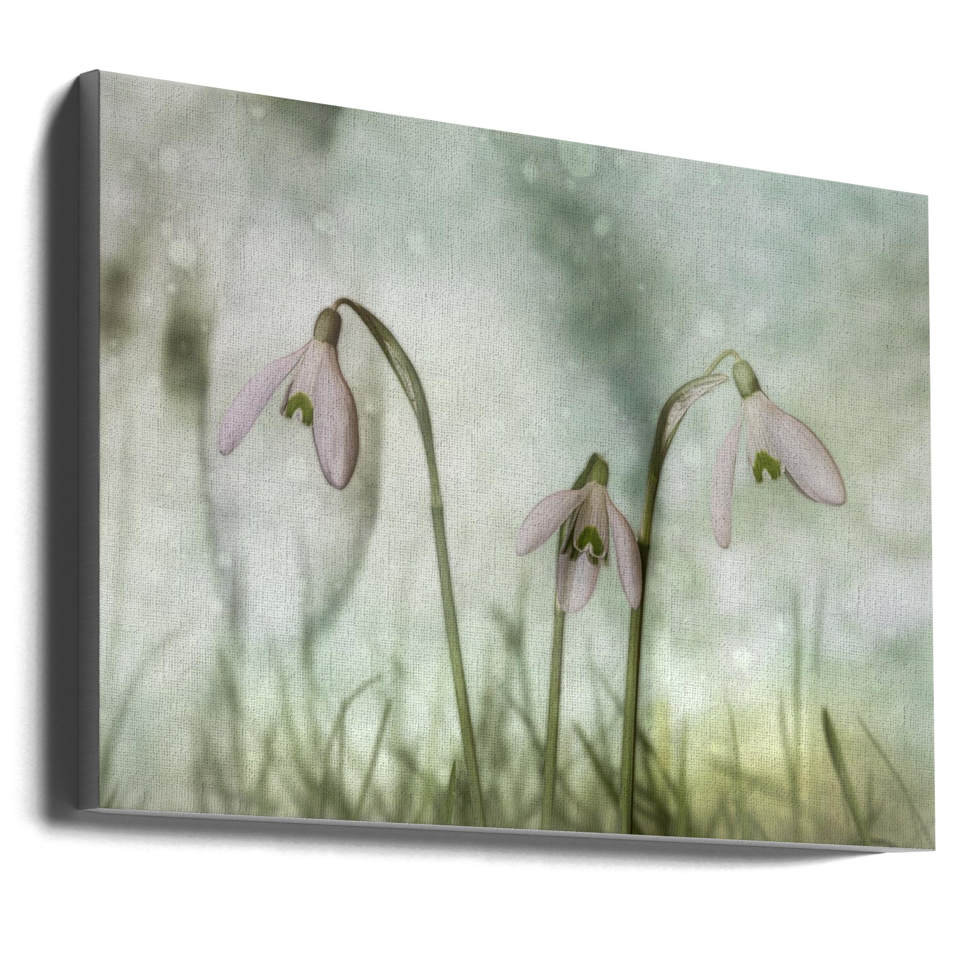 Trio 2 Wall Artwork In Black Floating Frame