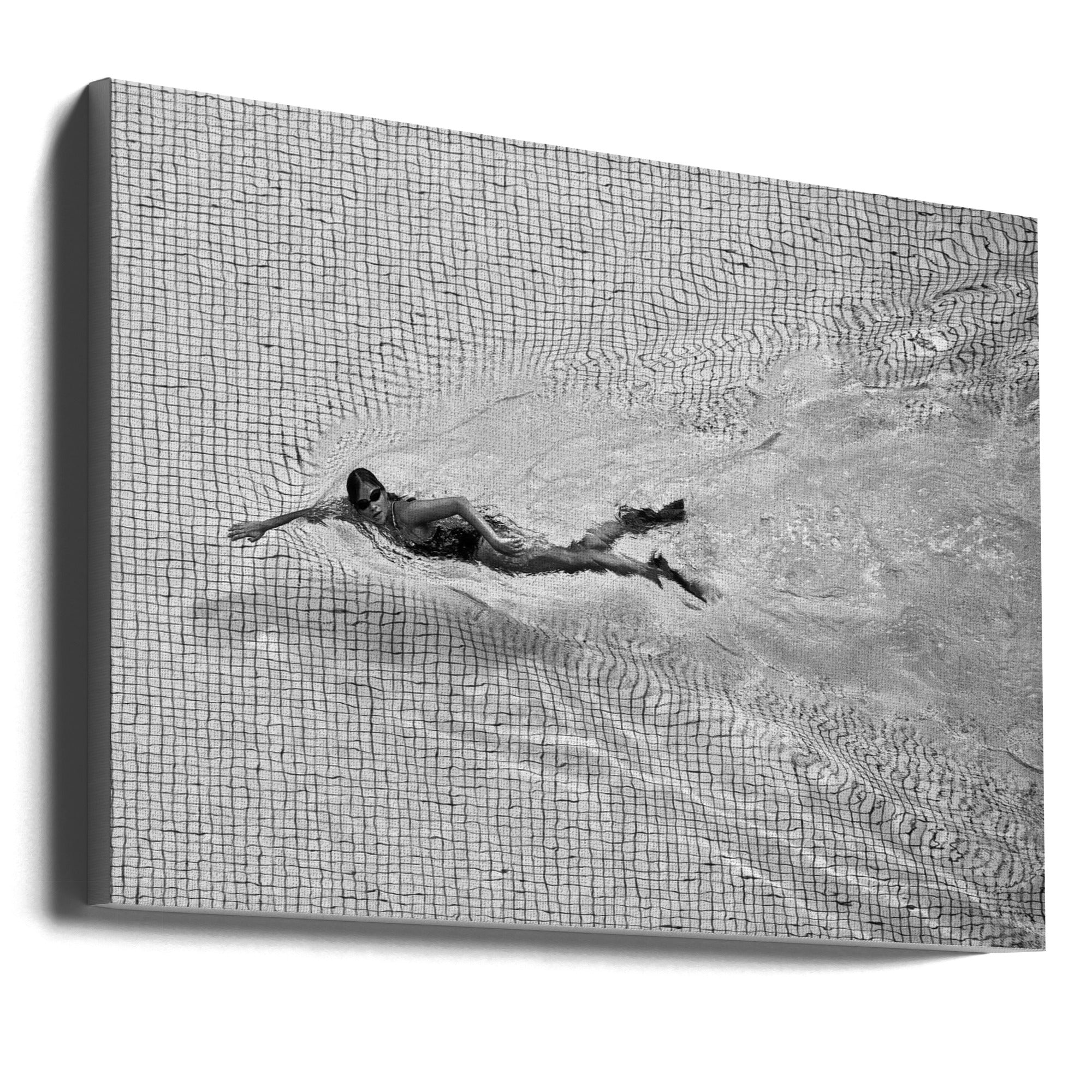 Wall art Breaking the net Canvas Print