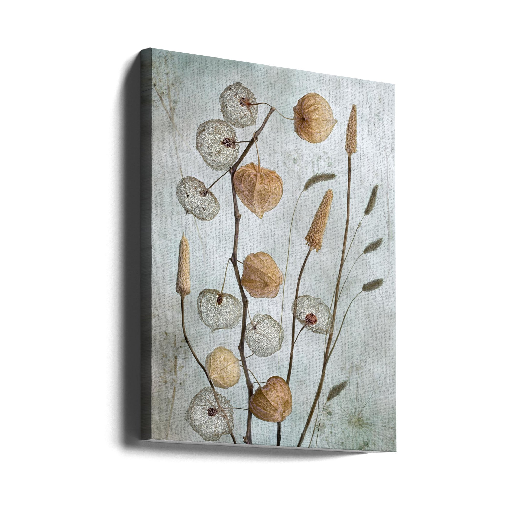 Lanterns* Wall Artwork Gallery Wrapped (Ready to Hang)