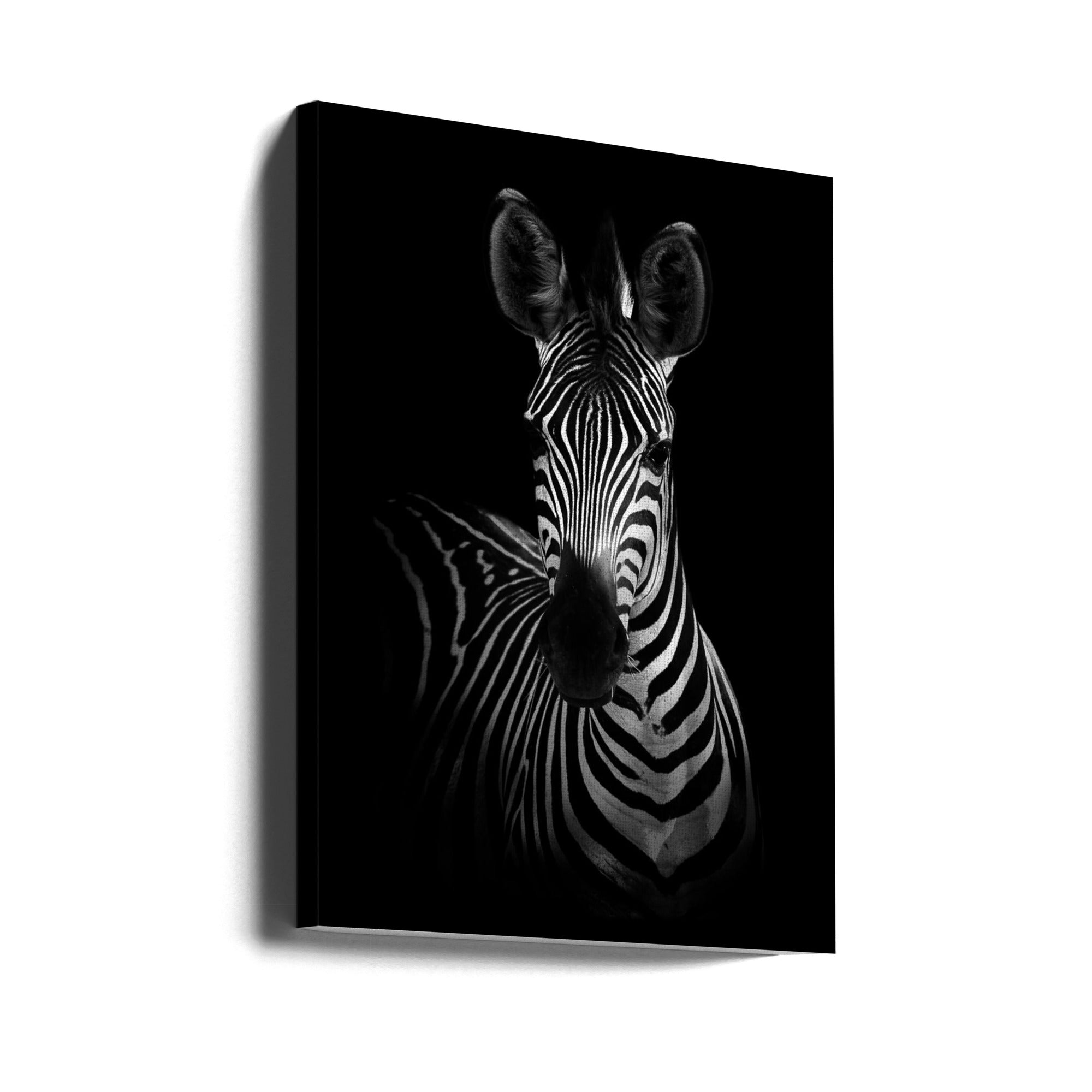 The Zebra Wall Artwork Gallery Wrapped (Ready to Hang)