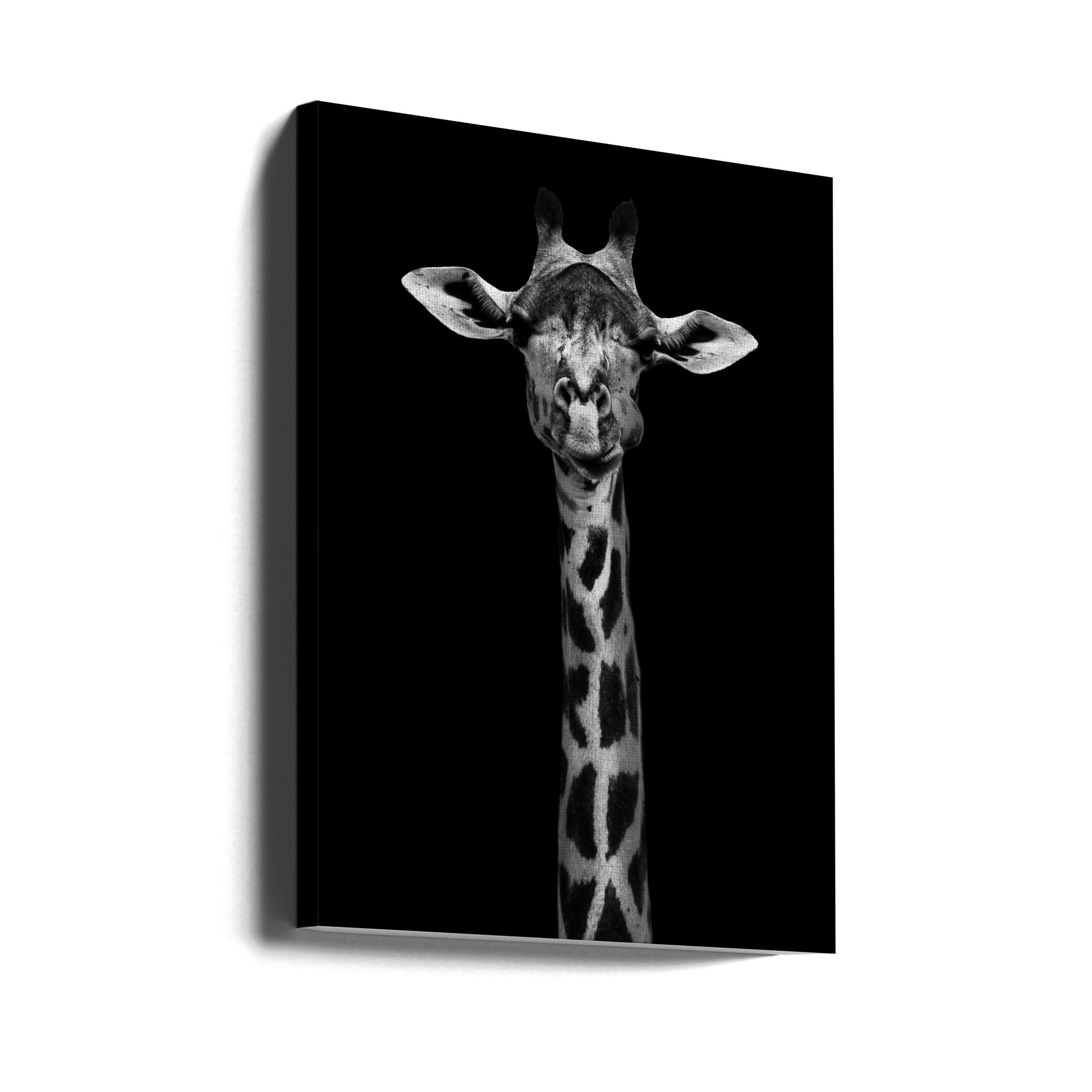 Giraffe Portrait Wall Artwork Gallery Wrapped (Ready to Hang)