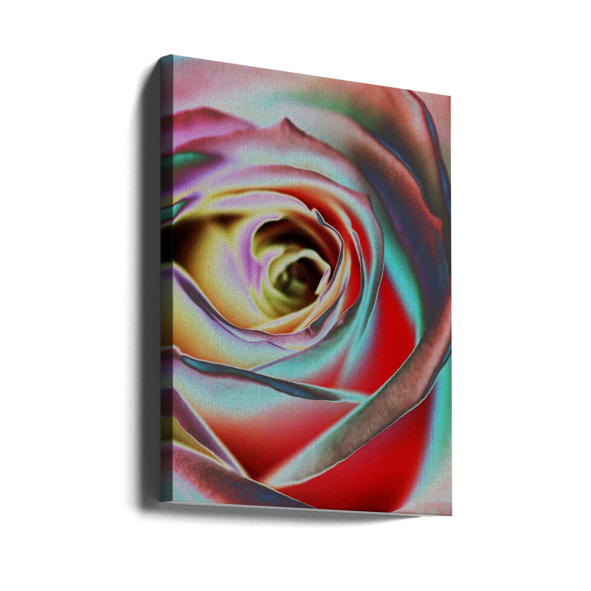 Rose Wall Artwork Gallery Wrapped (Ready to Hang)