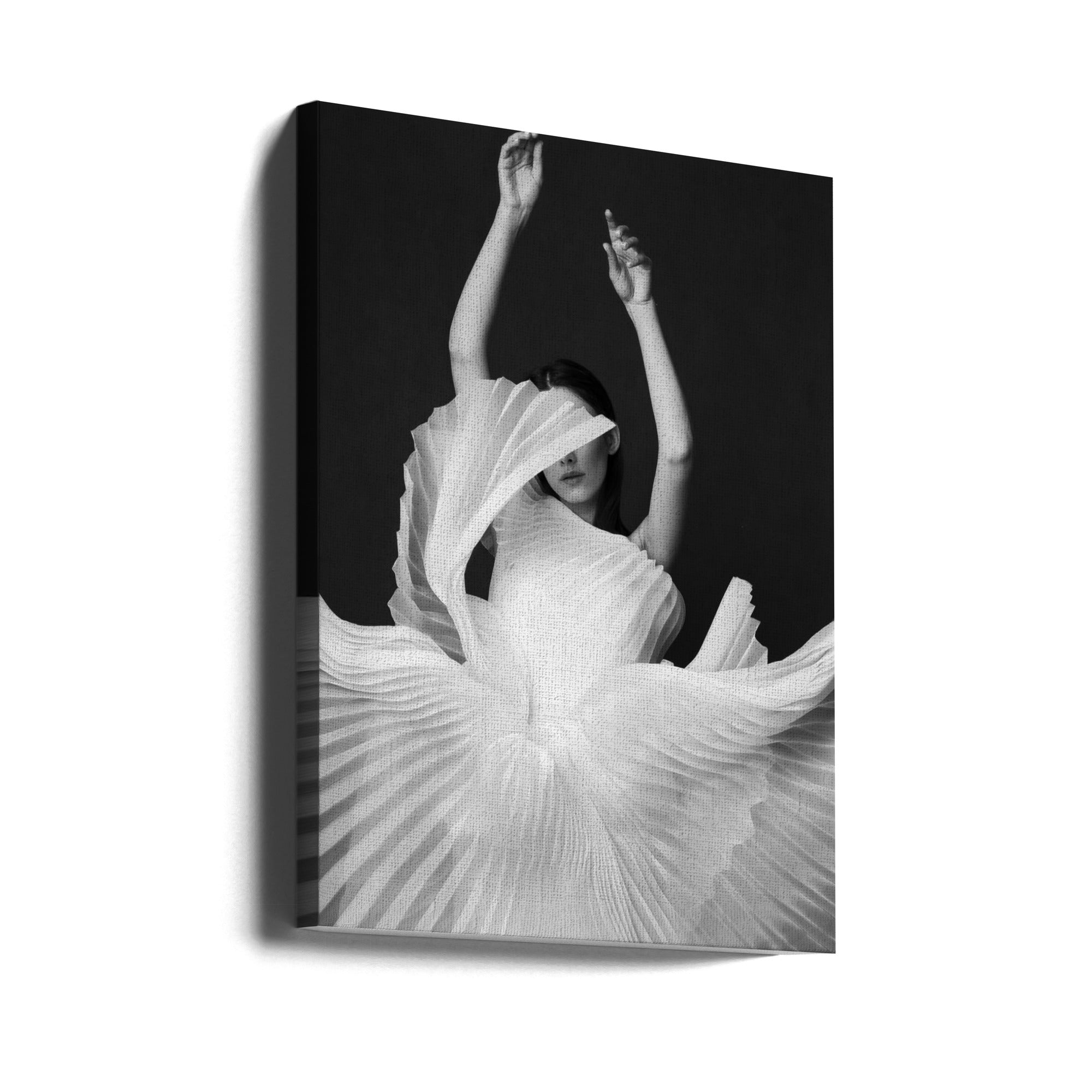 Amadeus Wall Artwork Gallery Wrapped (Ready to Hang)