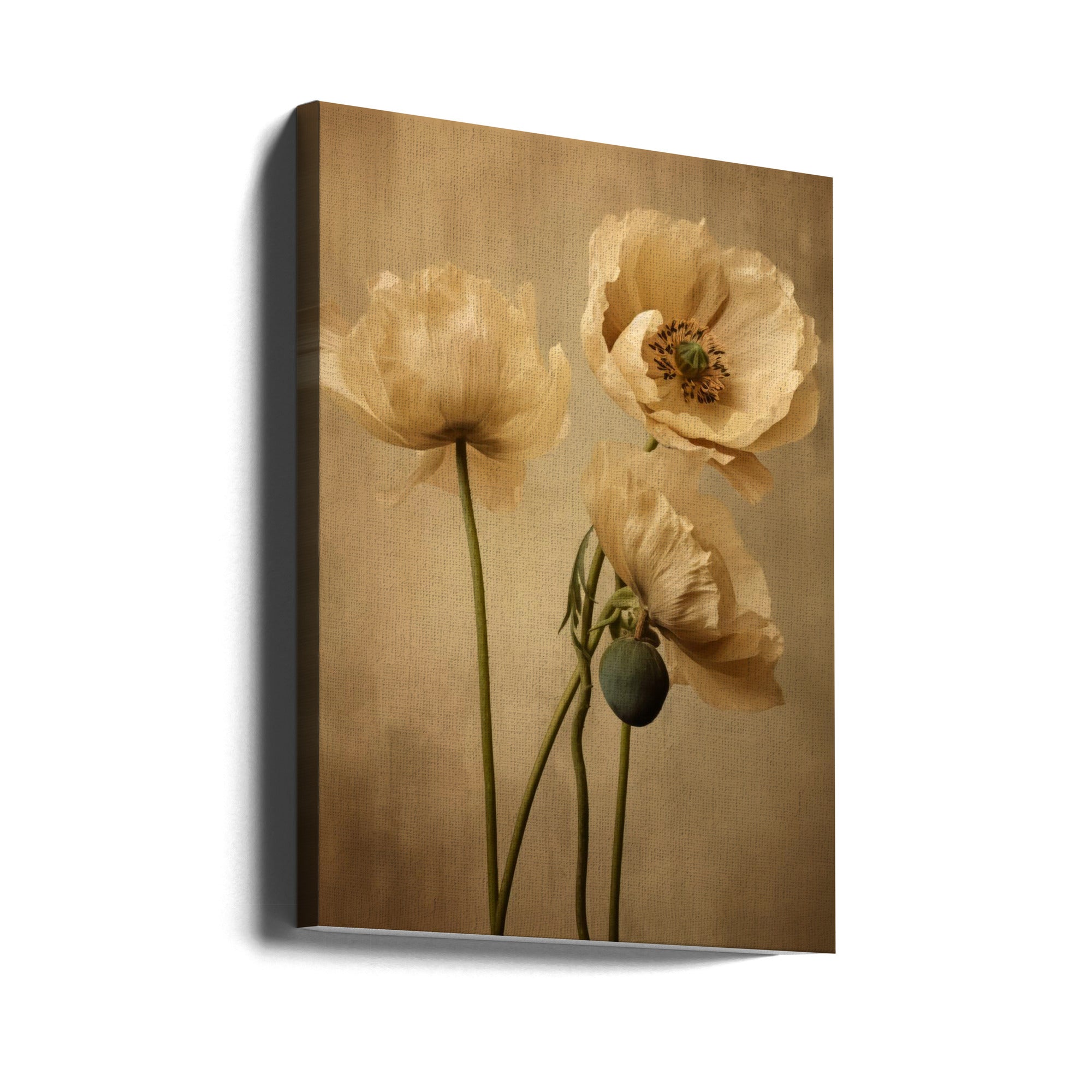 Poppies 24 Wall Artwork Gallery Wrapped (Ready to Hang)