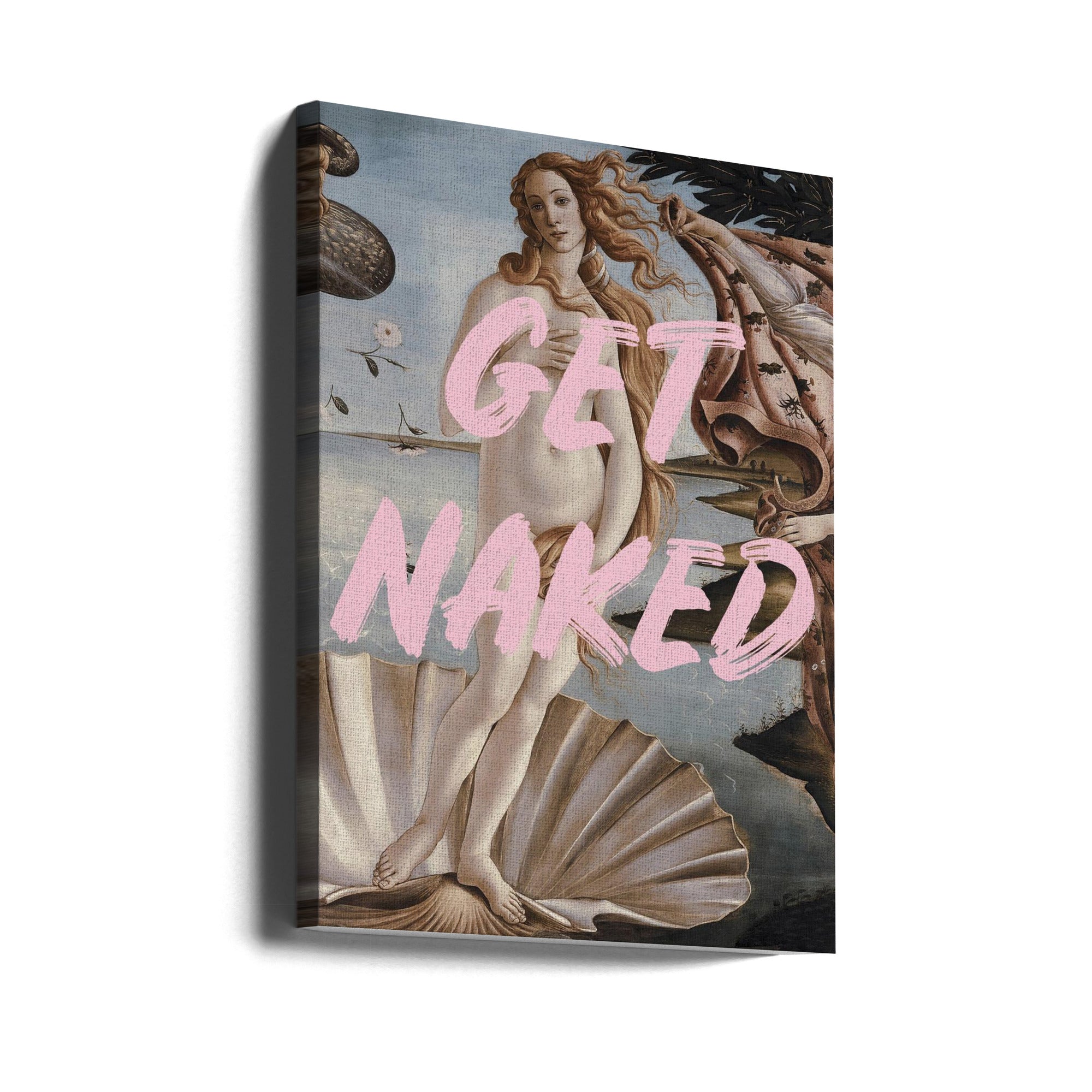 Wall art Venus get naked
