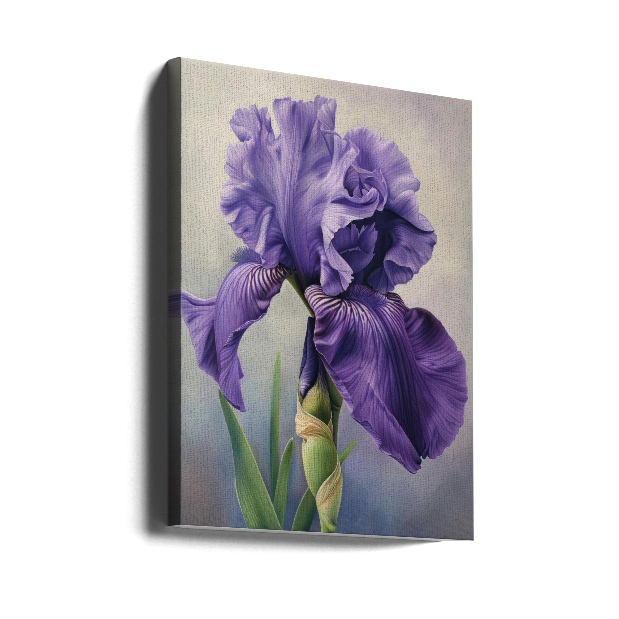 Wall art Iris Fl 100 24X36inch In Black Floating Frame