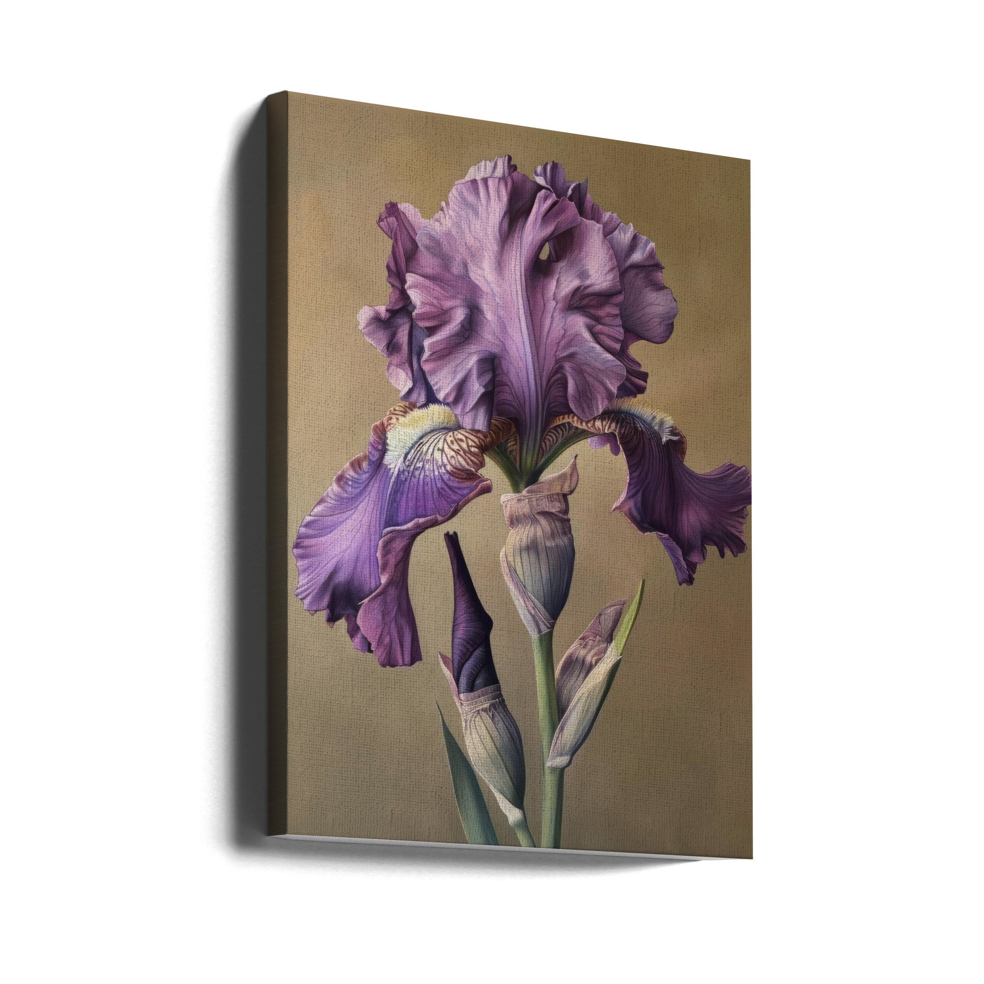 Wall art Iris Fl 101 24X36inch In Black Floating Frame