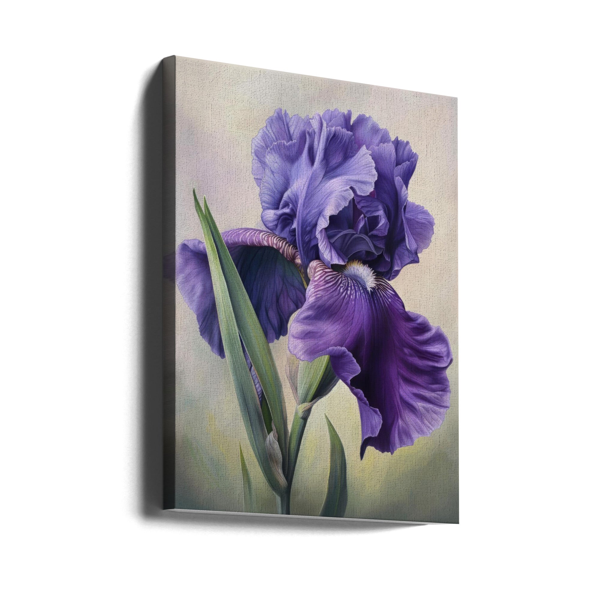 Wall art Iris Fl 110 24X36inch In Black Floating Frame