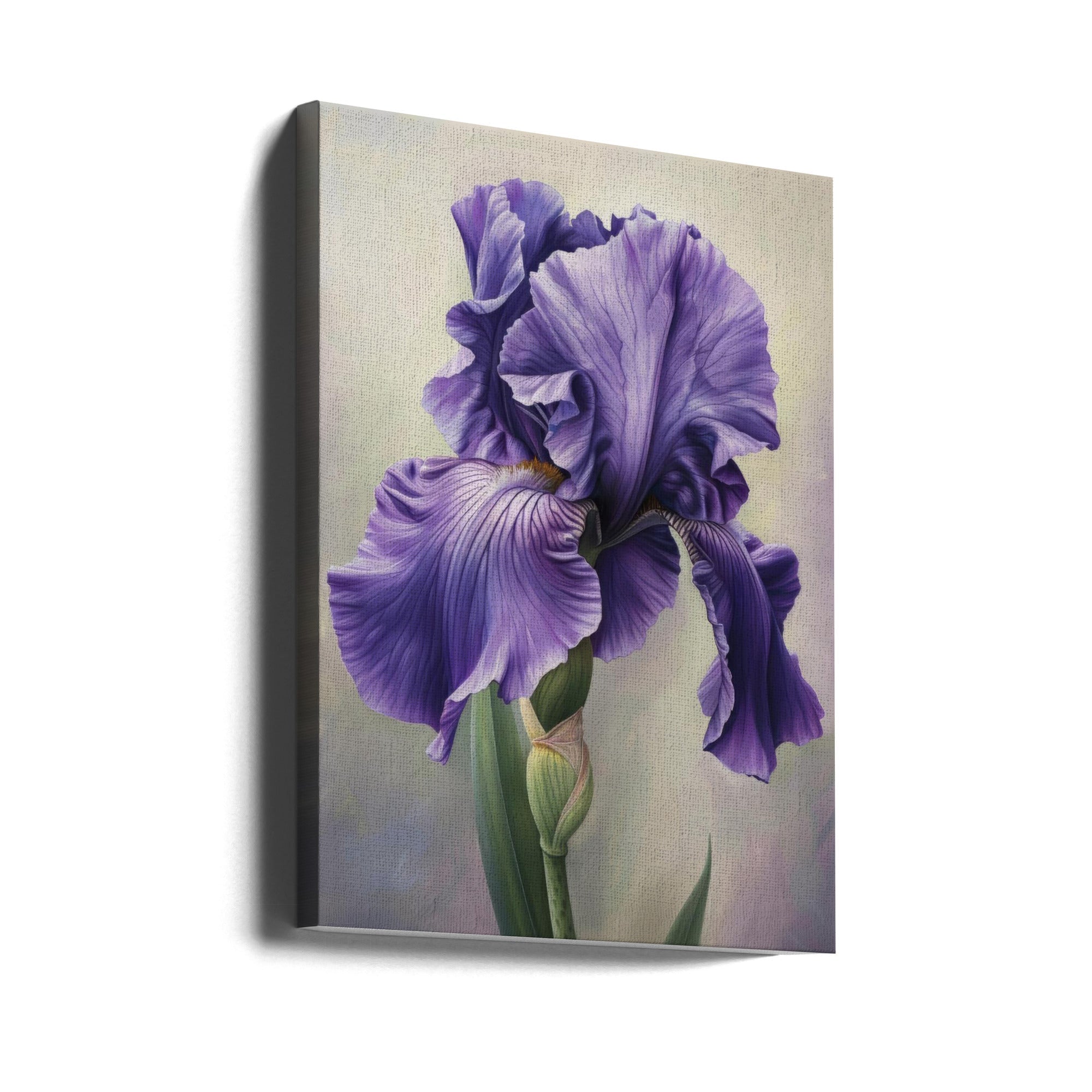 Wall art Iris Fl 113 24X36inch In Black Floating Frame