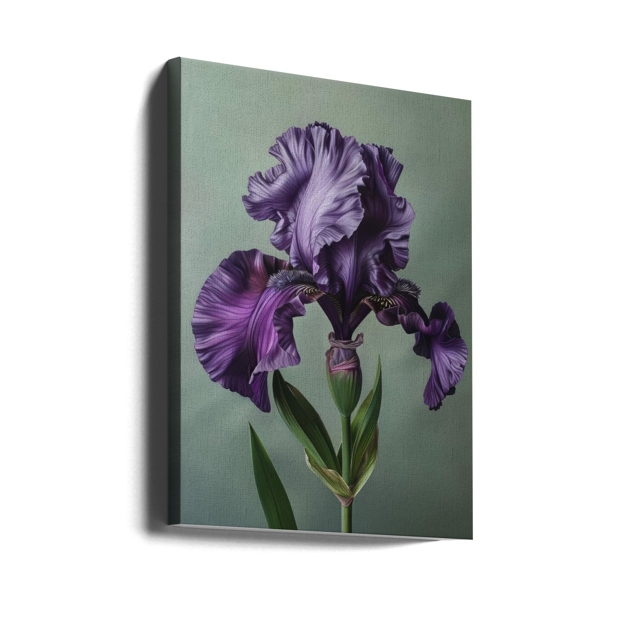 Wall art Iris Fl 10 24X36inch In Black Floating Frame