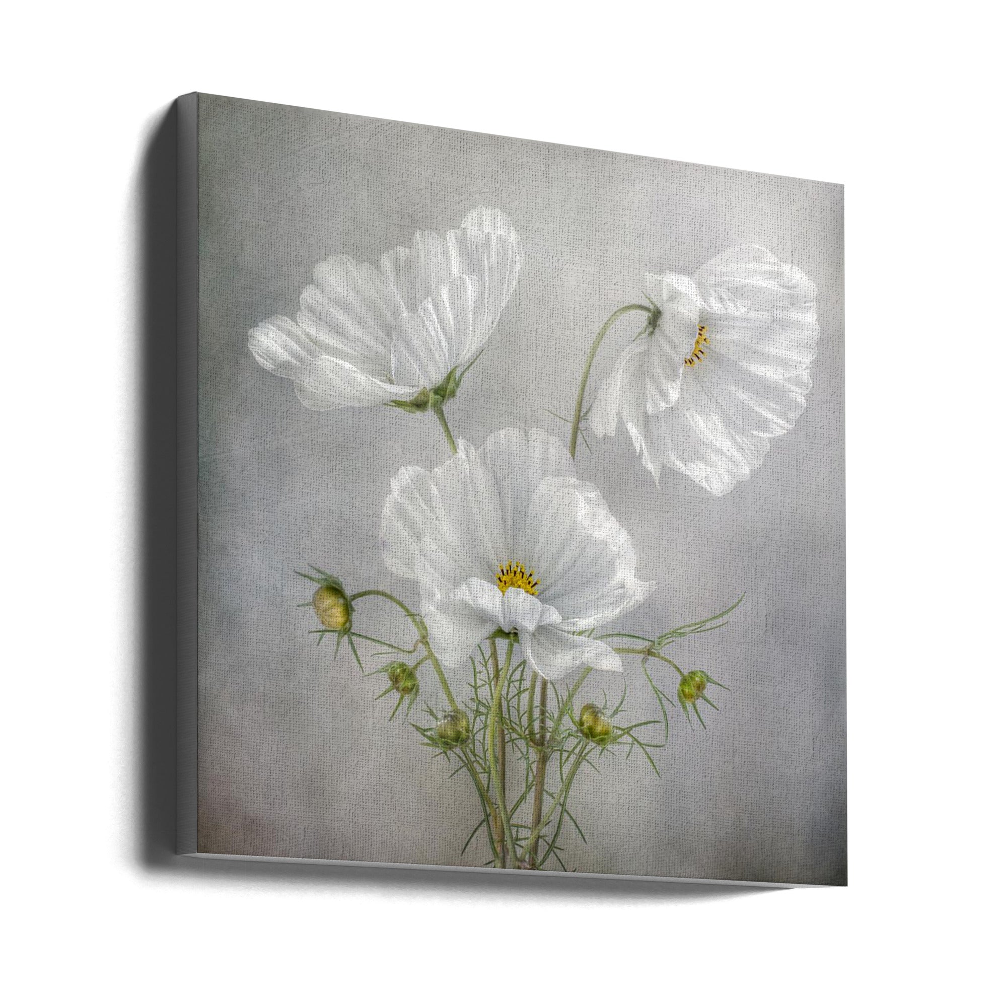 Cosmos Charm Irises Wall Artwork Gallery Wrapped (Ready to Hang)