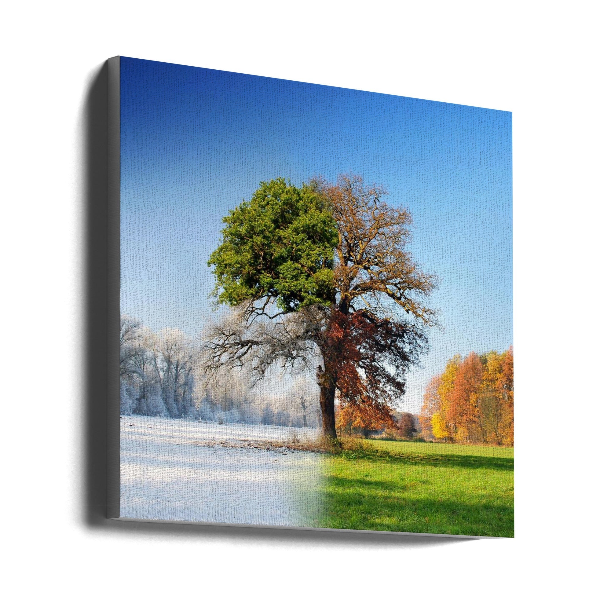 4 seasons Wall Artwork Gallery Wrapped (Ready to Hang)