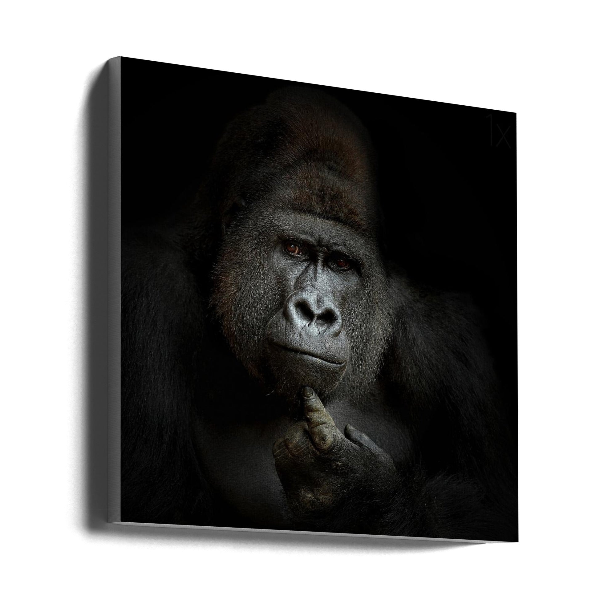 ego cogito, ergo sum Wall Artwork Gallery Wrapped (Ready to Hang)