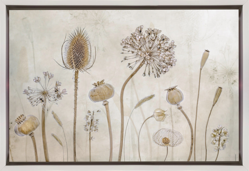 Growing old Wall Artwork In Black Floating Frame