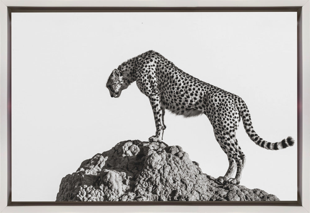 the hunter Wall Artwork In Black Floating Frame