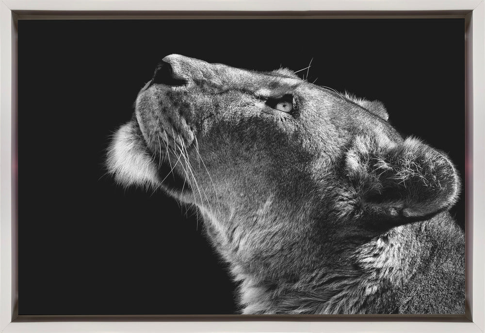 Looking Up Wall Artwork In Black Floating Frame